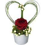 Livraison de fleurs avec Florajet