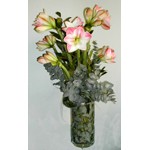 Le plus beau bouquet de l�hiver !