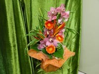 Bouquet Bulle Exotique