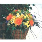 Un air vivifiant aux couleurs de provence. Beaucoup de charme �mane de ce bouquet rond aux teintes acidul�es.Retrouvez chez vous la douceur de vivre du sud...