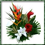 Assemblage compos� d un amaryllis, d un lys, et de fleurs exotiques