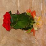 Id�al pour les plus belles d�clarations