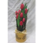 composition florale aux couleurs pratani�re