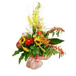 Bouquet poche d eau cage bambou (� partir � 35 euros)