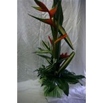 Bouquet exotique que l on trouve toute l ann�e dans notre magasin, il est pr�sent� en bulle d eau et a une tenue remarquable.
