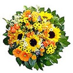 Disponible toute l ann�e (sauf tournesol)