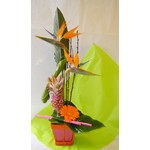 Composition exotique avec strelitzia, ananas, gerbera dans un contenanttout aussi color�