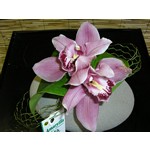 Assemblage de fleurons d orchid�e dans un vase moderne