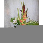 Assemblage exotique d h�liconia black et white et d anthurium et lys oriental