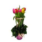 Fuseau de tulipes