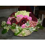 cr�ation  4 (� partir de 30 euros)