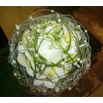 Bouquet mari�e