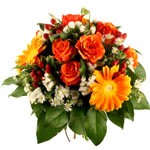 Offrir des fleurs > Un bouquet de malice    Avec ses teintes chaleureuses, Madras vous invite � la gai�t�. L`orange velours de ses roses r�pond malicieusement aux germinis, soleils grand ouverts. Asters candides et statices blancs l�gers  accompagnent quelques fruits charnus de millepertuis qui finissent d`�loigner toute m�lancolie.    Le conseil du Fleuriste    Coupez les tiges en biseaux et changer l�eau du bouquet tous les 2 ou 3 jours.  
