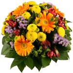 Offrir des fleurs > Tourbillon de couleurs    Sofia accroche le regard par le contraste de ses teintes : bleu, rose, orang� tournoient comme un man�ge. Les fleurs m�langent leurs p�tales fins et longs, courts, fragiles et d�cid�s. L`effet de surprise est garanti !    Le conseil du Fleuriste    Coupez les tiges en biseaux et changez l�eau du bouquet tous les 2 ou 3 jours.  