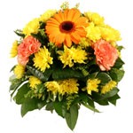 Offrir des fleurs > Un bouquet ensoleill�  Rayon de soleil printanier, Nelson est � croquer. Oeillets et bonis ont la fra�cheur d`un sorbet acidul� que viennent pimenter cocos, solidagos et gerberas �merveill�s.A d�couvrir sans h�siter!    Le conseil du Fleuriste  Coupez les tiges en biseaux et changer l�eau du bouquet tous les 2 ou 3 jours.  