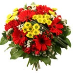 Offrir des fleurs > Ol� !    S�ville claque � la mani�re d`une castagnette et cr�pite de ses teintes estivales : vermillon flamboyant des germinis et des roses, citron clair des santinis. Quelques touches de blanc apaisent  le feu des corolles.    Le conseil du Fleuriste    Coupez les tiges en biseaux et changez l�eau du bouquet tous les 2 ou 3 jours.