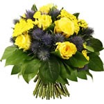Offrir des fleurs > Une �tonnante rencontre  Voici un bouquet des plus audacieux! La rencontre de la rose jaune et du chardon est pour le moins inattendue. Le r�sultat est un surprenant contraste o� la rose et le chardon forment un adorable tandem. A offrir sans h�siter !  Le conseil du Fleuriste   Coupez les tiges en biseaux et changer l�eau du bouquet tous les 2 ou 3 jours.