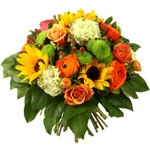 Offrir des fleurs > Un bouquet aux couleurs de l`automne    Ottawa est un bouquet vivant et charmeur. Tournesols, renoncules et santinis sont r�unis pour vous s�duire. Faites-vous plaisir avec cette r�jouissante cr�ation Florajet.com.  Le conseil du Fleuriste  Coupez les tiges en biseaux et changer l�eau du bouquet tous les 2 ou 3 jours.