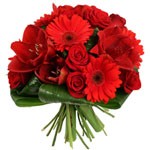 Offrir des fleurs > Eclat de rouge    Vous souhaitez s�duire ou simplement faire plaisir? Ce bouquet est fait pour vous!     Compos� de diverses fleurs de couleur rouge, il ravira par son �clat. A d�couvrir absolument!  Le conseil du Fleuriste    Coupez les tiges en biseaux et changez l�eau du bouquet tous les 2 ou 3 jours.  
