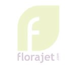 Couleurs indiennes pour ce v�ritable bouquet
rond d artiste, aux senteurs l�g�res et sucr�es.
