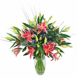 bouquet des fleurs :  LYS STARGAZER