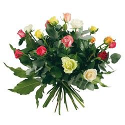Pluie De Roses