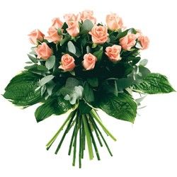 La Vie En Roses