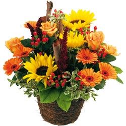 bouquet des fleurs :  OPALE