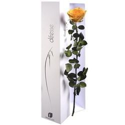bouquet des fleurs :  ROSE ETERNELLE JAUNE