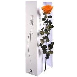bouquet des fleurs :  ROSE ETERNELLE ORANGE