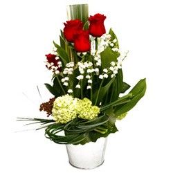 bouquet des fleurs :  GLORIA