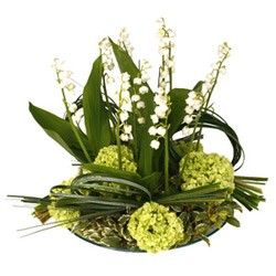 bouquet des fleurs :  TANDEM
