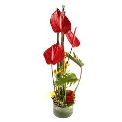 bouquet des fleurs :  SERNIN