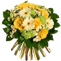 http://www.florajet.com/produits/250/853.jpg