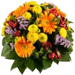 bouquet des fleurs :  SOFIA