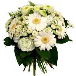 bouquet des fleurs :  VENEZIA