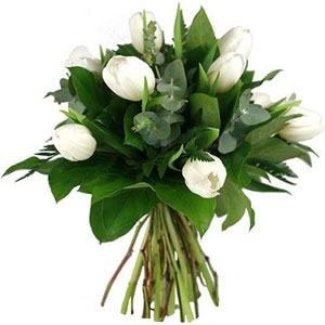 Le charme de la simplicit�
A tous les amoureux de naturel, cette jolie brass�e de tulipes blanches vous ravira. Fra�ches et d�licates, ces tulipes vous s�duiront par leur couleur immacul�e et la douceur de leurs p�tales.
Le conseil du Fleuriste
Coupez les tiges en biseaux et changez l�eau du bouquet tous les 2 ou 3 jours.
Conservez de pr�f�rence vos tulipes  au sein d�une pi�ce � l�abri de la chaleur
