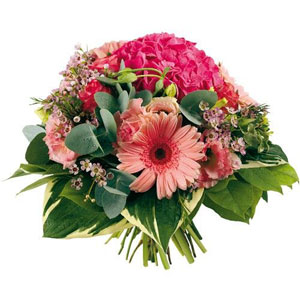 D�licat, apparemment sage, Mirta fait pourtant vibrer ses d�licats p�tales d'hortensias avec, ceux, p�tulants, des gerberas.
