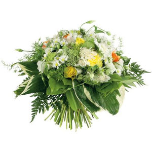 Un bouquet champ�tre
Voici un bouquet qui ravira les amateurs de nature. Compos� de fleurs fra�chement assembl�es, cette cr�ation Florajet illuminera votre int�rieur de son chic et de son �l�gance. Un authentique extrait de nature � offrir sans h�siter.
Le conseil du fleuriste
Coupez les tiges en biseaux et changez l�eau du bouquet tous les 2 ou 3 jours.