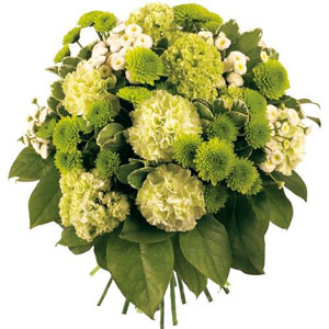 Blanc, vert doux, ivoire, vert intense... voici un bouquet qui souffle, qui rafra�chit, qui tonifie.
Le conseil du fleuriste
Coupez les tiges en biseaux et changez l�eau du bouquet tous les 2 ou 3 jours.