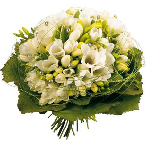 Le bouquet de mariage
Afin de c�l�brer le plus beau jour d'une vie, Florajet vous propose ce ravissant bouquet travaill� dans les tons de cr�me et de vert tendre. A la fois d�licat et �l�gant, Breva ira � ravir aux bras de la mari�e... 