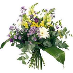 L`eucalyptus danse, le muflier sautille, les campanules chantent et les asters s`amusent. Ludique et frais.