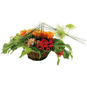 Pr�cieuse

Jade est une d�licate composition o� le celosie c�toie avec raffinement les roses orange. Assembl�s avec go�t, fleurs et v�g�taux forment ainsi un assemblage plein de charme.
Le conseil du Fleuriste

A r�ception de votre composition, humidifiez la mousse tous les 2 jours en prenant soin d�en �carter les fleurs.
