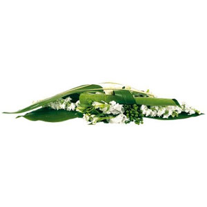 Pour habiller votre int�rieur d'une �l�gante touche florale, Florajet vous propose ce ravissant centre de table qui agr�mentera vos repas de raffinement et de gr�ce. Travaill� dans les tons de blanc et de vert, soyez certains de combler vos convives avec cette cr�ation sp�ciale Florajet.