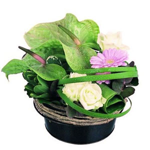 Fraiche ceuillette de fleurs aux couleurs douces. M�lange de tendresse et d'exotisme pour cette composition � l'esprit romantique travaill�e dans les tons vert, parme, et cr�me. Le travail d�licat des v�g�taux lui procure un r�el raffinement.