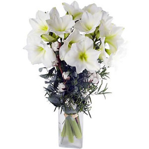 Nous vous proposons ce bouquet tout de blanc v�tu pour c�l�brer la venue de l�hiver. Les amaryllis majestueuses c�toient le naturel de la fleur de coton. De cette association na�t un bouquet fragile et fort, noble et terrien. 