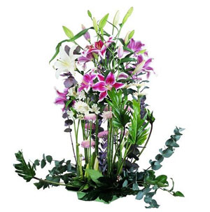 C'est avec beaucoup de distinction que s'�rige cette splendide r�alisation de style paysag�. Elle s'impose par l'opulence de ses v�g�taux et le subtil parfum des liliums.