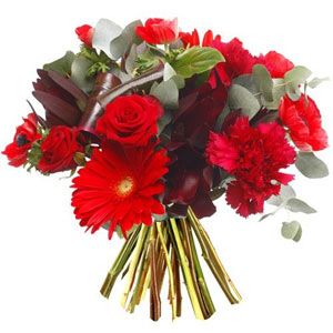 Mutin et frais, cet assemblage de fleurs rouge est aussi apptissant qu'une cerise! Roses, gerberas, et autres fleurs rouge composent ce dlicieux bouquet  offrir  votre belle-maman sans hsiter! 