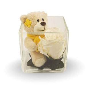 D�licatement enlac�s dans un contenant en verre de 10cm X 10cm, ce bouton de rose D�esse �ternelle blanche accompagne un adorable petit ours en peluche. Le mariage raffin� du petit ours et de la rose vous permet de c�l�brer tendrement vos sentiments. Il d�corera en effet parfaitement une chambre d�enfant mais pourra aussi c�l�brer par un clin d��il tendre l�amour que vous portez � votre cher (ch�re) et tendre