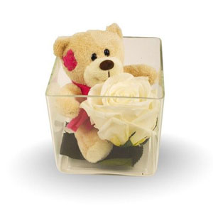 D�licatement enlac�s dans un contenant en verre de 10cm X 10cm, ce bouton de rose D�esse �ternelle blanche accompagne un adorable petit ours en peluche. Le mariage raffin� du petit ours et de la rose vous permet de c�l�brer tendrement vos sentiments. Il d�corera en effet parfaitement une chambre d�enfant avec d�licatesse mais pourra aussi c�l�brer par un clin d��il  tendre l�amour que vous portez � votre aim�(e).